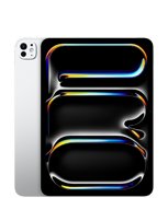 iPad Pro 11(M5 모델)