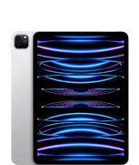 iPad Pro 11 (4세대)