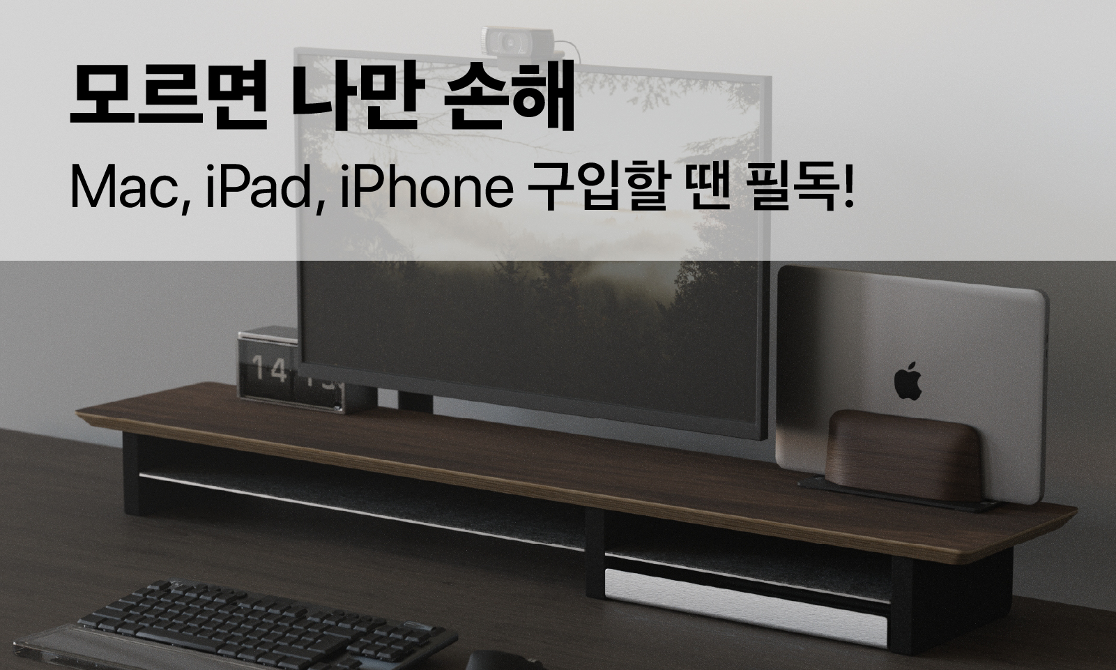 Apple 전문가 프리스비 추천 제품