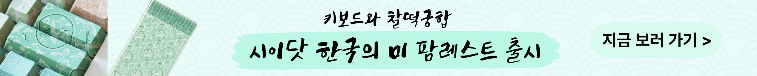 시이닷 팜레스트 출시