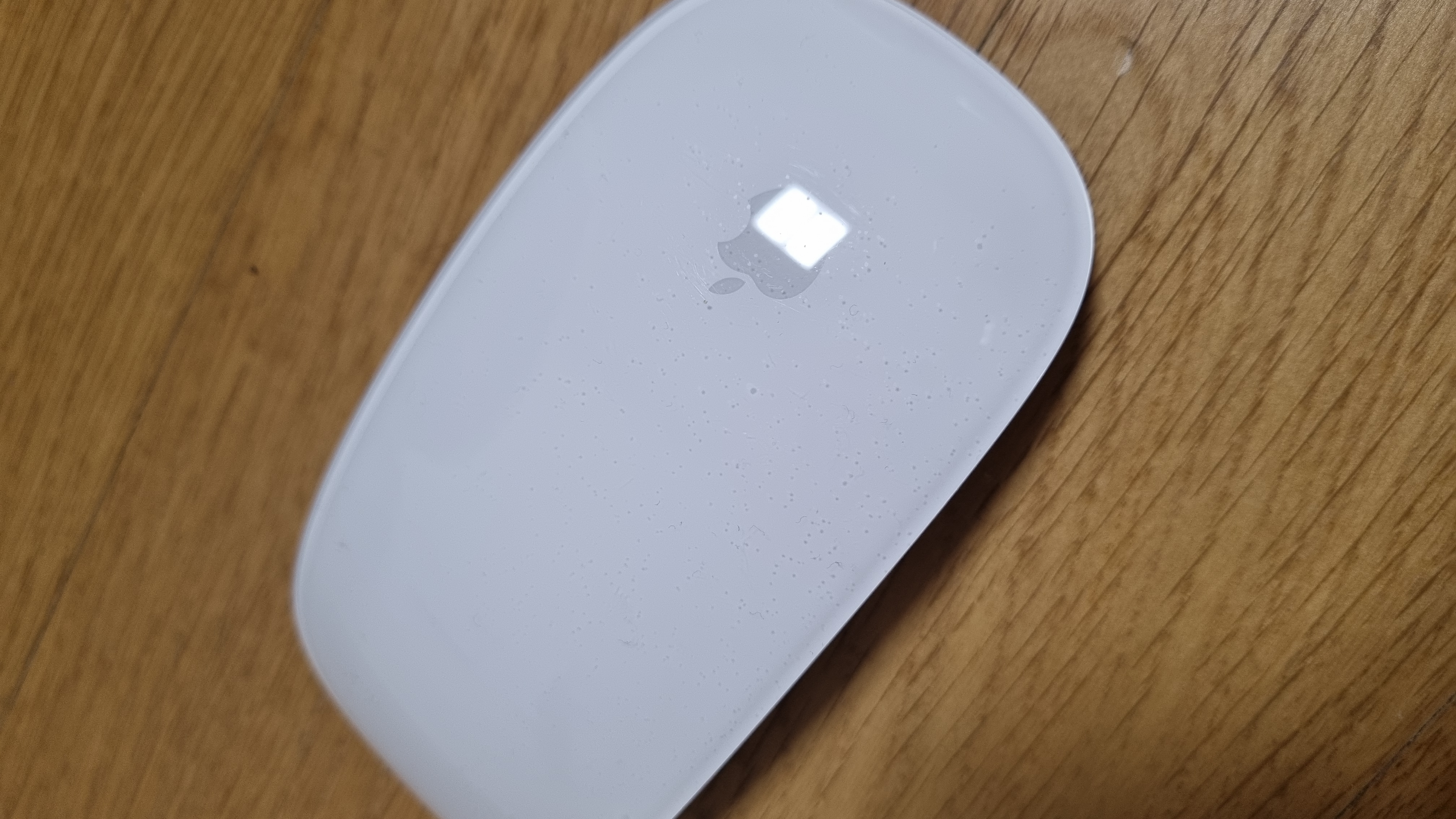 Magic Mouse(USB‑C) - 화이트 Multi-Touch 표면 MXK53KH/A - Frisbee